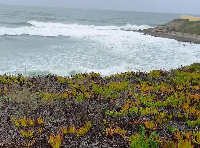 Linda Appartamento Consolação